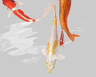 10款2025优秀联机游戏推荐！轻松爆笑好评如潮！